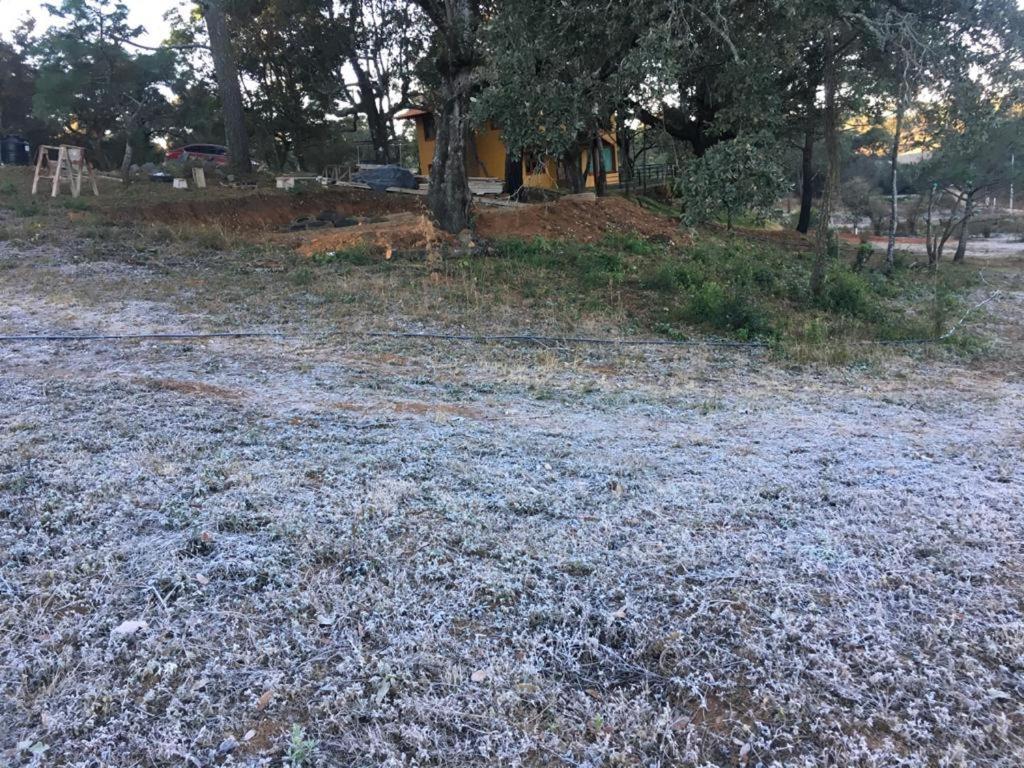 Cabana Verito Mazamitla Dış mekan fotoğraf